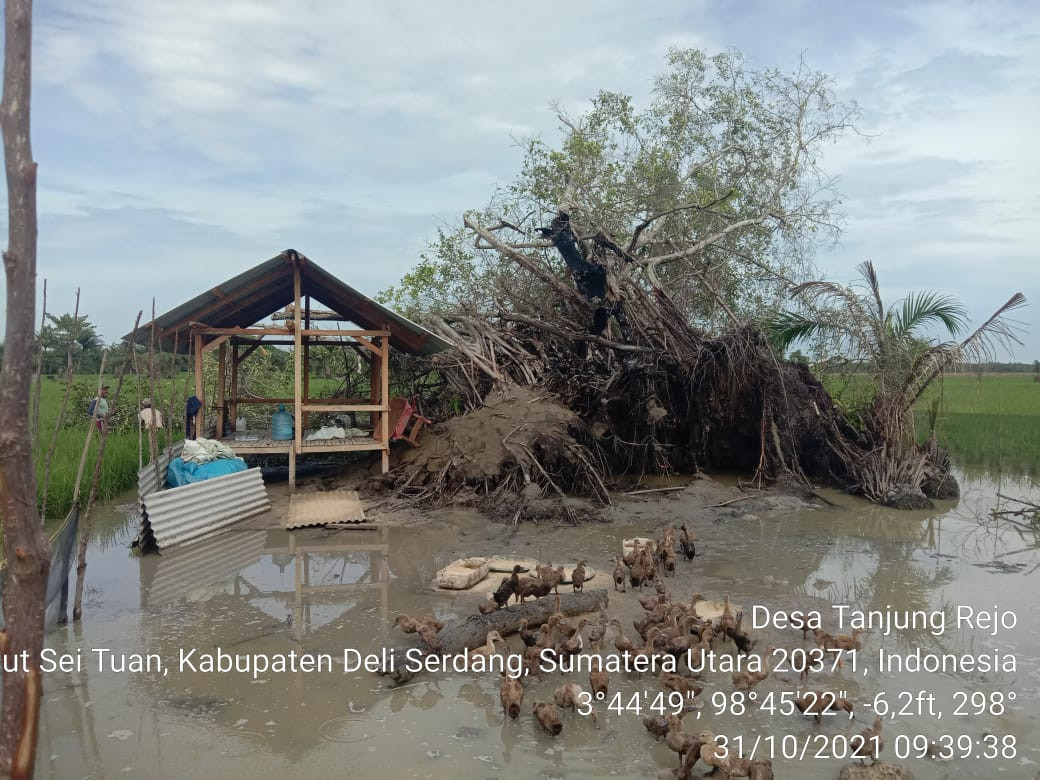 Banjir Di Dusun XIV Tanjung Rejo